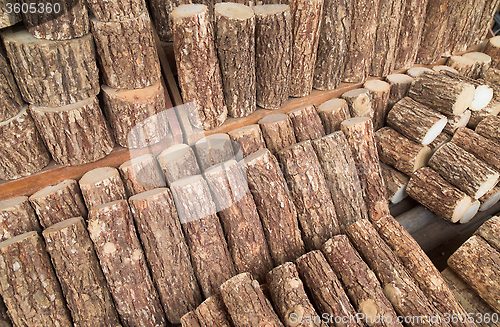 Image of Wood for thanaka produktion