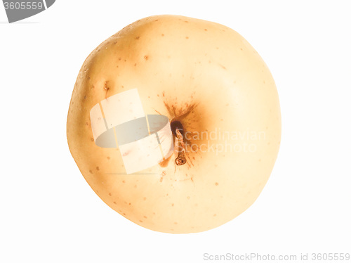 Image of Retro looking Apple fruit