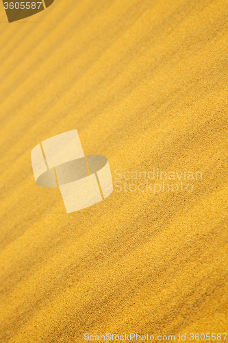 Image of the brown sand dune in the 