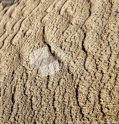 Image of the brown sand dune in the sahara morocco desert 