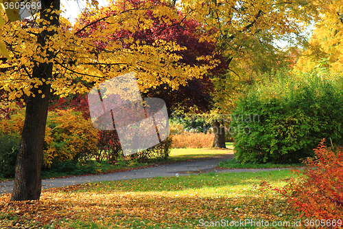 Image of autumn park 
