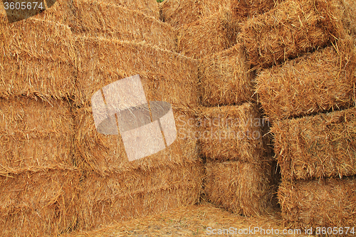 Image of corn straw cubes