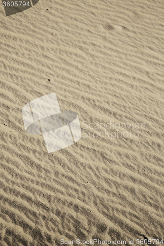 Image of   brown sand dune  the sahara  