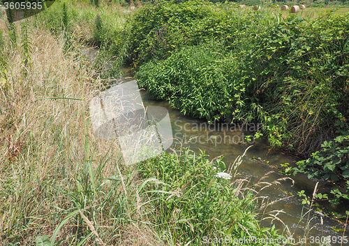 Image of Water rivulet
