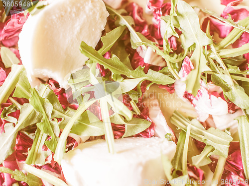 Image of Retro looking Lettuce salad