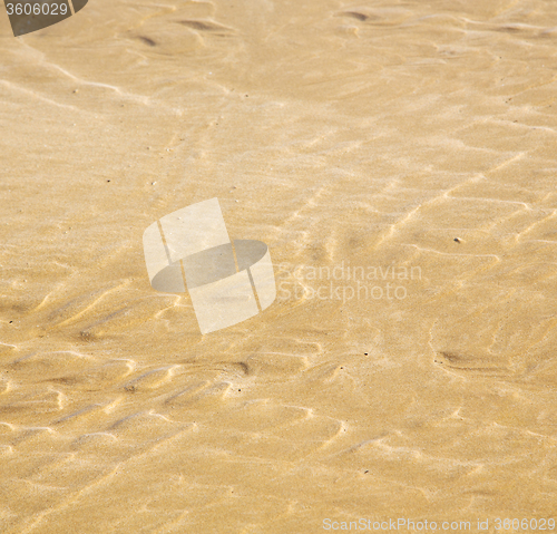 Image of dune morocco in africa brown coastline wet sand beach near atlan