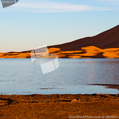 Image of sunshine in the lake yellow  desert of morocco sand and     dune