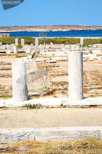 Image of bush   in delos greece the historycal acropolis  