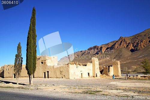 Image of hill africa in morocco the old contruction    tree