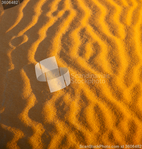 Image of the brown sand dune in the sahara morocco desert 