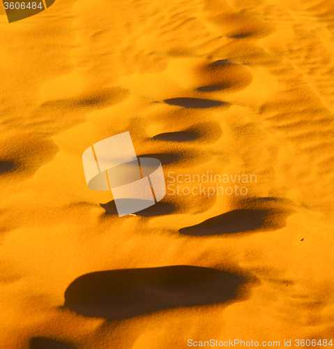 Image of the brown sand dune in the sahara morocco desert 