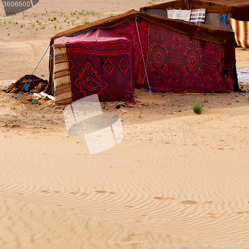 Image of tent in  the desert of morocco sahara and rock  stone    sky