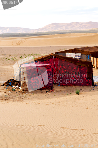 Image of tent in  the morocco sahara    sky