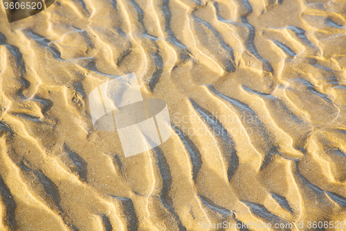 Image of dune morocco in africa brown  sand beach near  