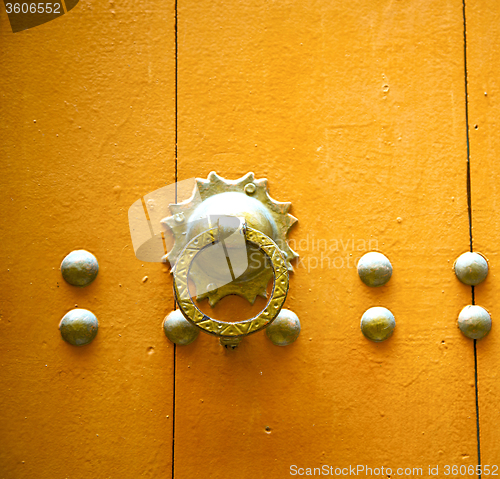 Image of wood and morocco