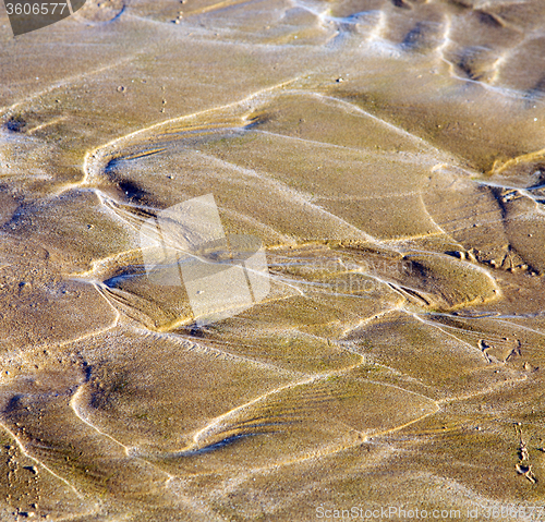 Image of dune morocco in africa brown coastline wet sand beach near atlan