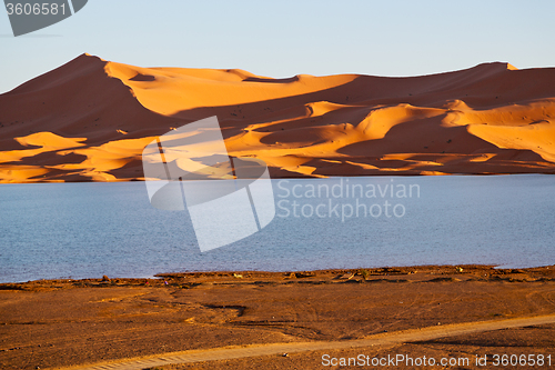 Image of   in the lake yellow    dune