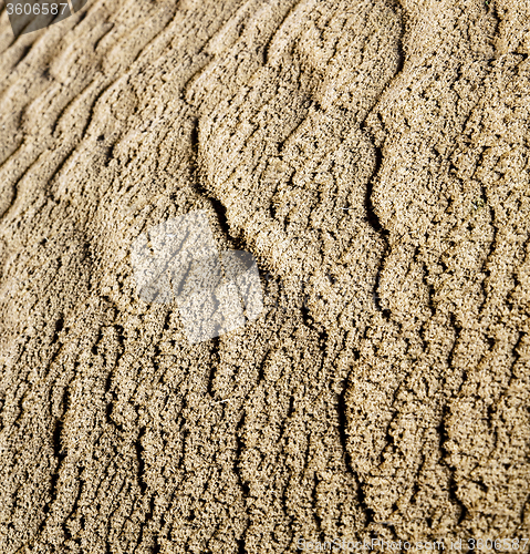 Image of the brown sand dune in the sahara morocco desert 