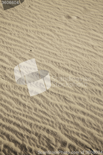 Image of   brown sand dune  the sahara  