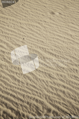 Image of   brown sand dune  the sahara  