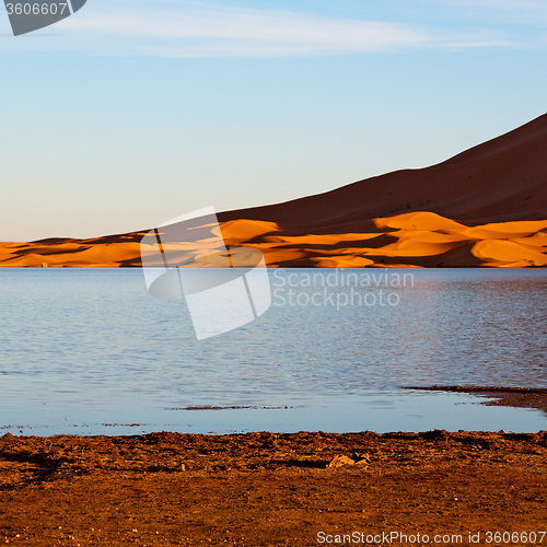 Image of sunshine in the lake yellow  desert of morocco sand and     dune