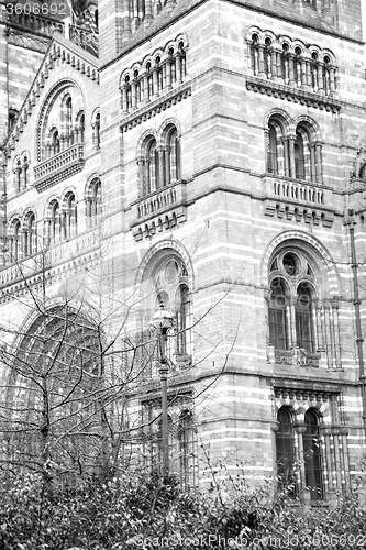 Image of old construction in london englan europe brick  wall and window 