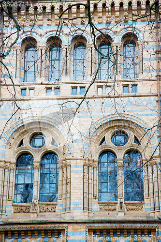 Image of old construction in london englan europe brick  wall and window 