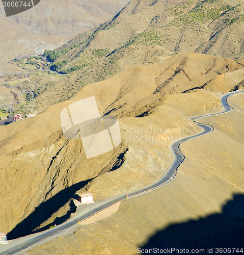 Image of in ground africa morocco the bush  dry atlas mountain