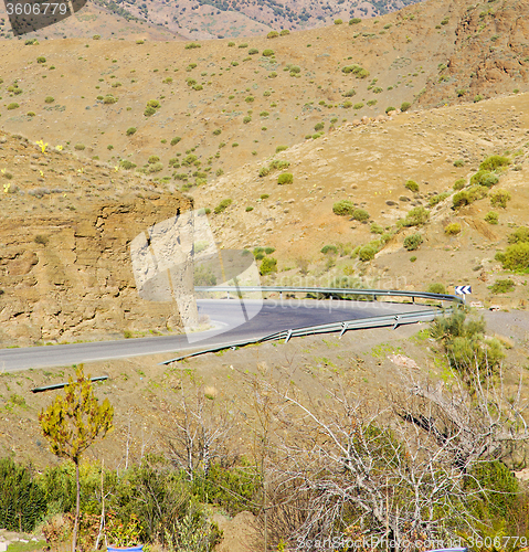 Image of in ground africa morocco the bush  dry atlas mountain