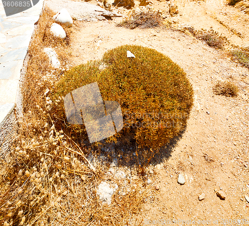 Image of in greece the mykonos island rock sea and beach blue   sky