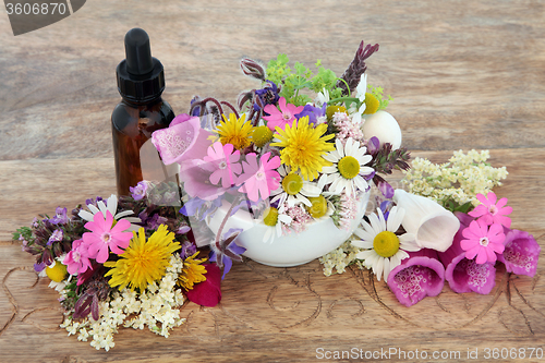 Image of Herbal Medicine 