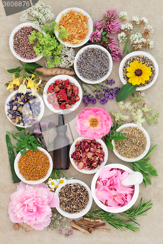 Image of Herbal Medicine