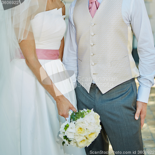 Image of Elegant bride and groom posing together 