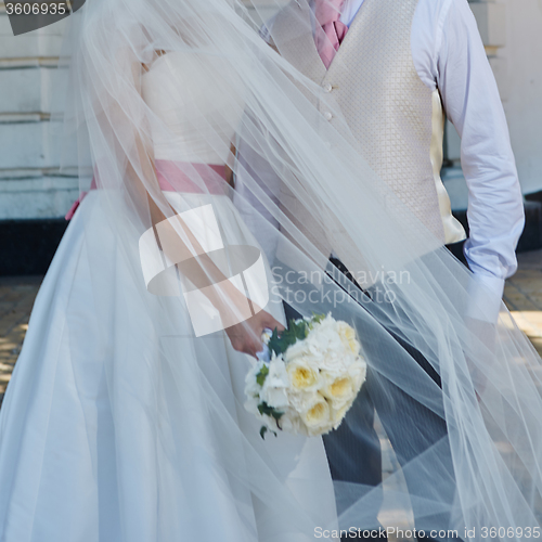 Image of Elegant bride and groom posing together 