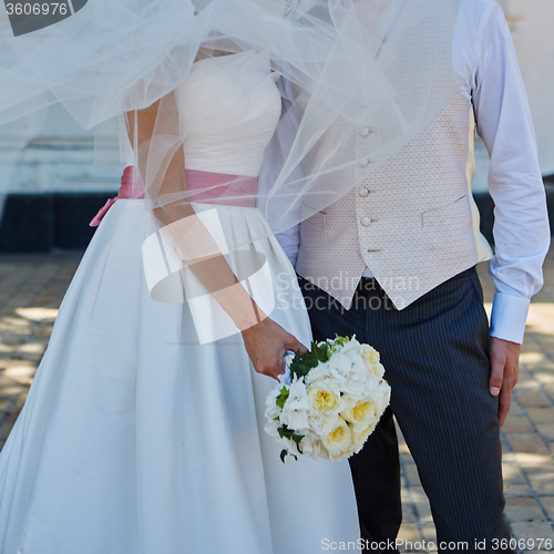 Image of Elegant bride and groom posing together 