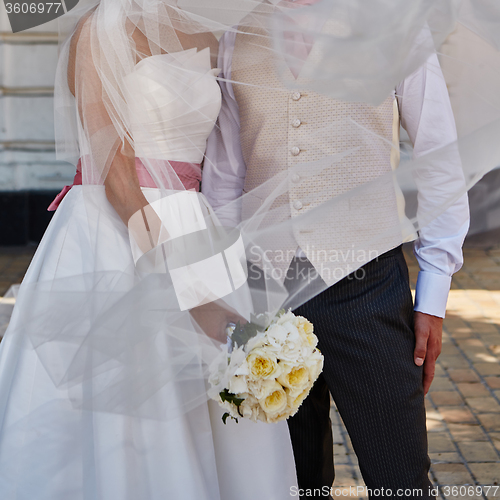 Image of Elegant bride and groom posing together 