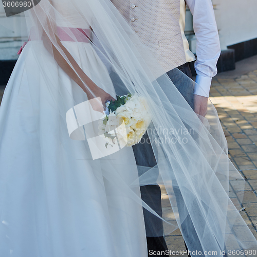 Image of Elegant bride and groom posing together 