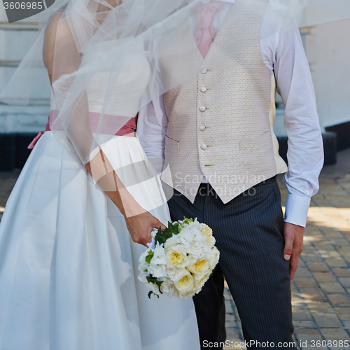 Image of Elegant bride and groom posing together 