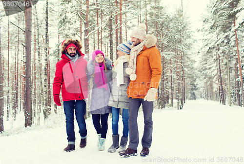 Image of group of smiling men and women in winter forest