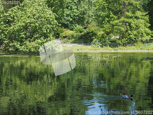 Image of St James Park in London