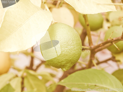 Image of Retro looking Lemon picture