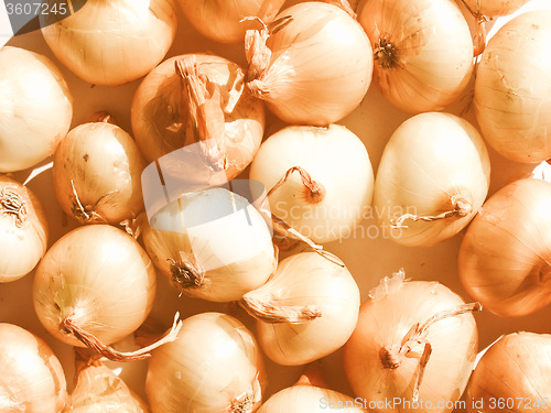 Image of Retro looking Onions picture