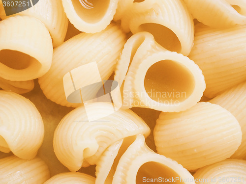 Image of Retro looking Lumache pasta food