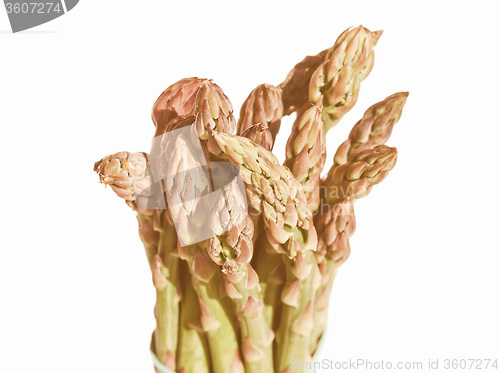Image of Retro looking Asparagus