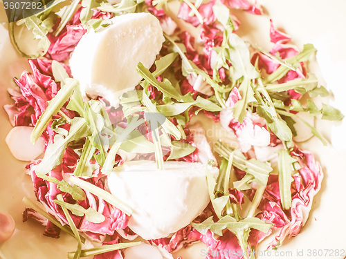 Image of Retro looking Lettuce salad