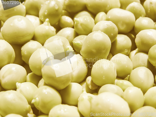 Image of Retro looking Peas picture