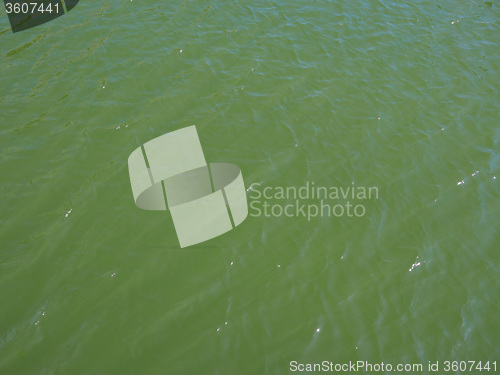 Image of Green water background