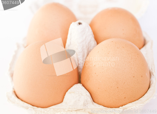 Image of Retro looking Eggs picture