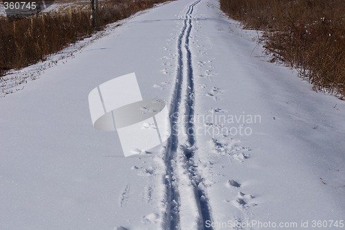 Image of Nordic Ski Tracks