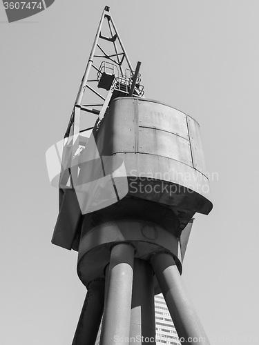 Image of Black and white Crane in London